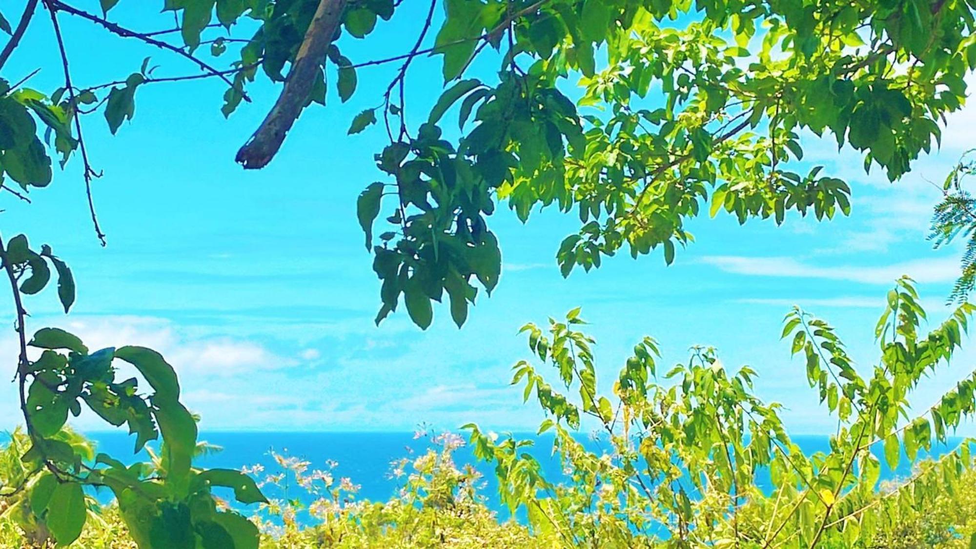 Campsarap Hostel & Resort Valencia  外观 照片