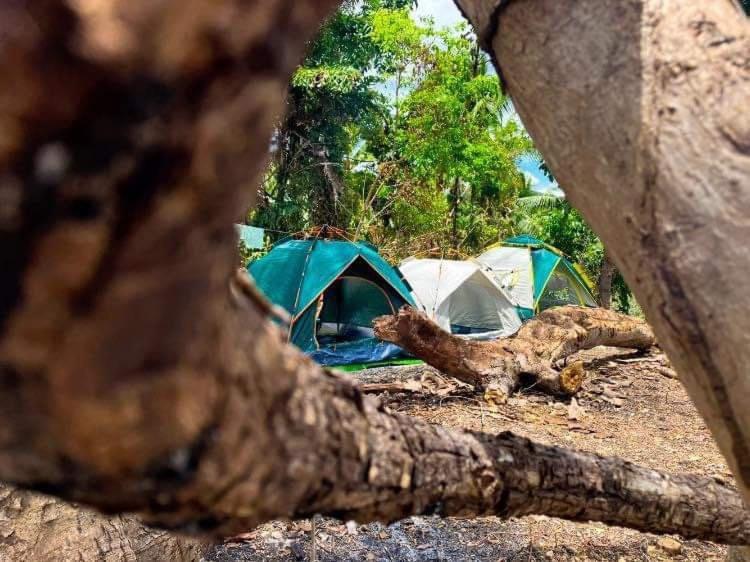 Campsarap Hostel & Resort Valencia  外观 照片
