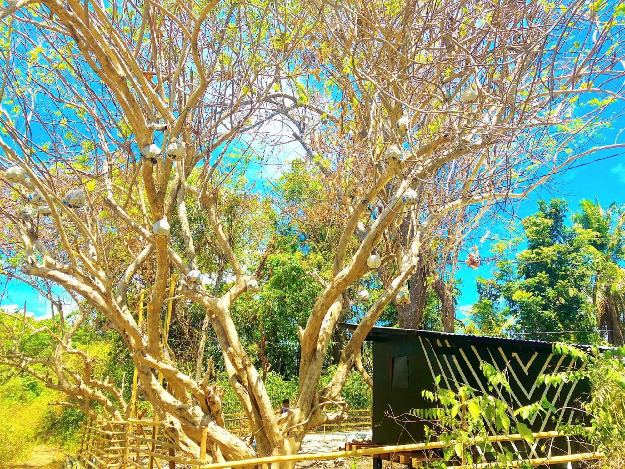Campsarap Hostel & Resort Valencia  外观 照片