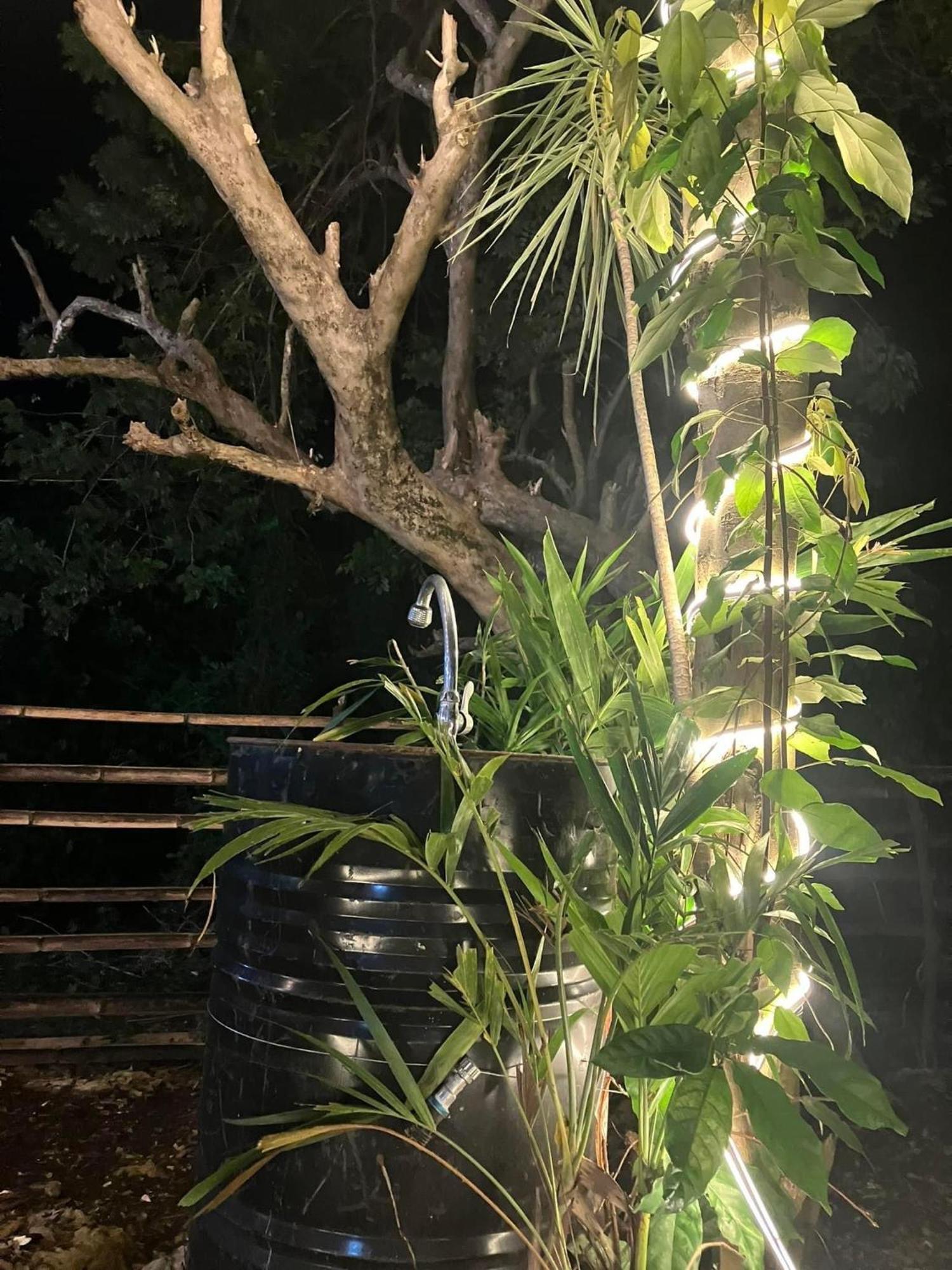 Campsarap Hostel & Resort Valencia  外观 照片