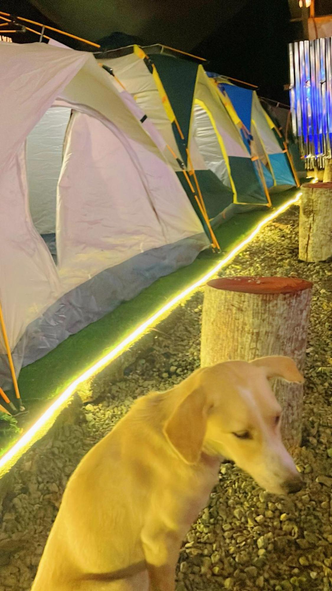 Campsarap Hostel & Resort Valencia  外观 照片